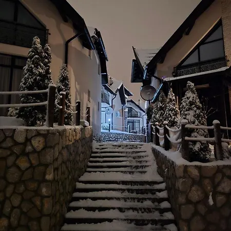 Vivien Zlatibor