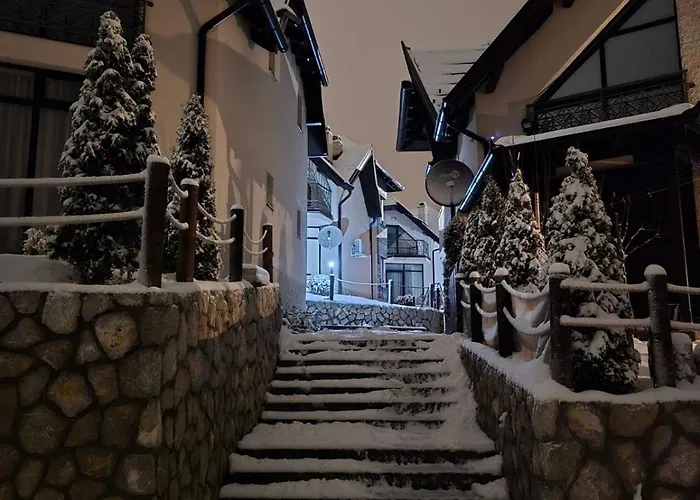 Vivien ズラティボール